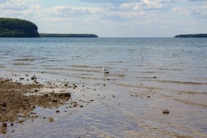 IMG_1854