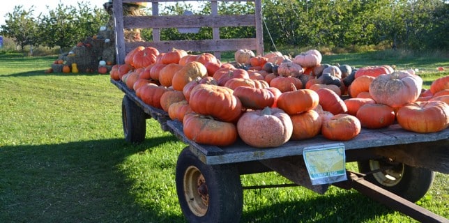 enjoy Ephraim WI lodging during Pumpkin Patch Festival in Egg Harbor