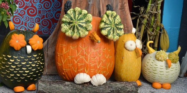Enjoy Pumpkin Patch and Ephraim lodging