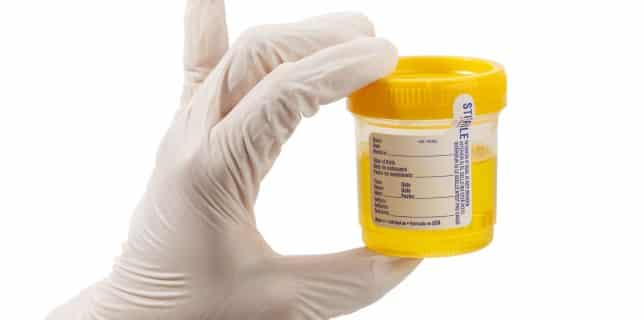 drug testing locations, DOT consortiums Wisconsin Drug Testing Consortium