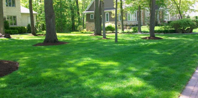 lawn care in Green Bay by Straw Hat Lawn Care