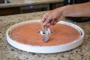 NESCO dehydrator fruit rollups puree