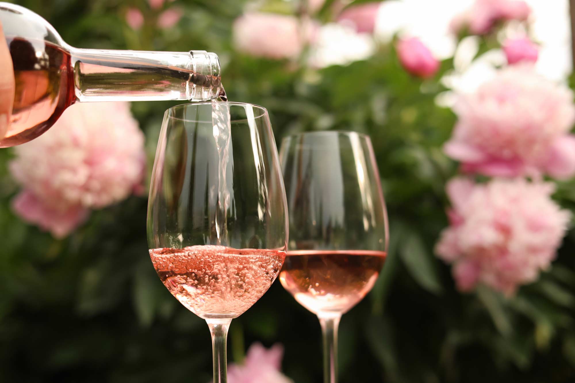 You are currently viewing Wineries in Door County: Sip your way through the Peninsula