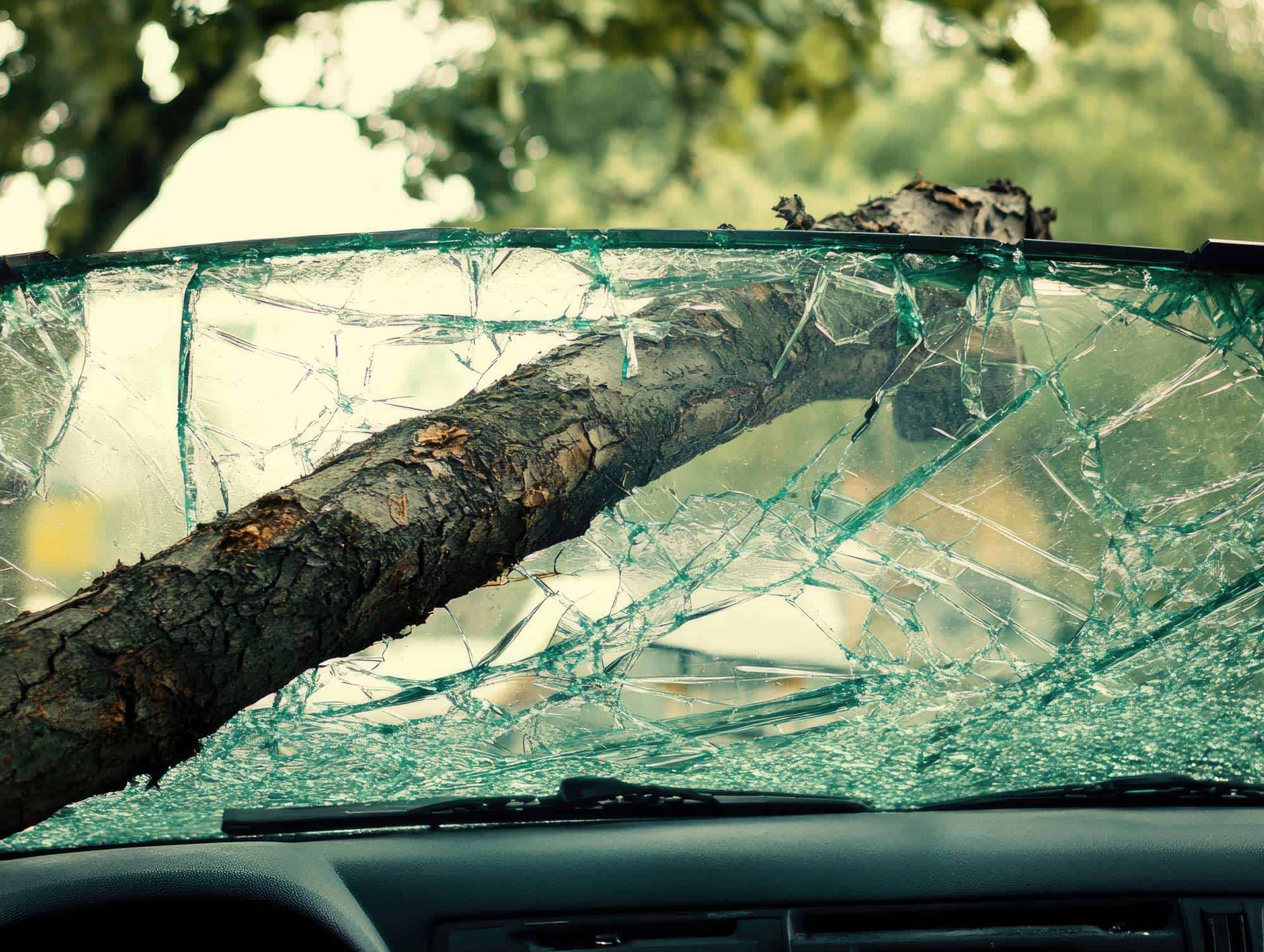 You are currently viewing You can count on us to fix your hurricane damaged windshield