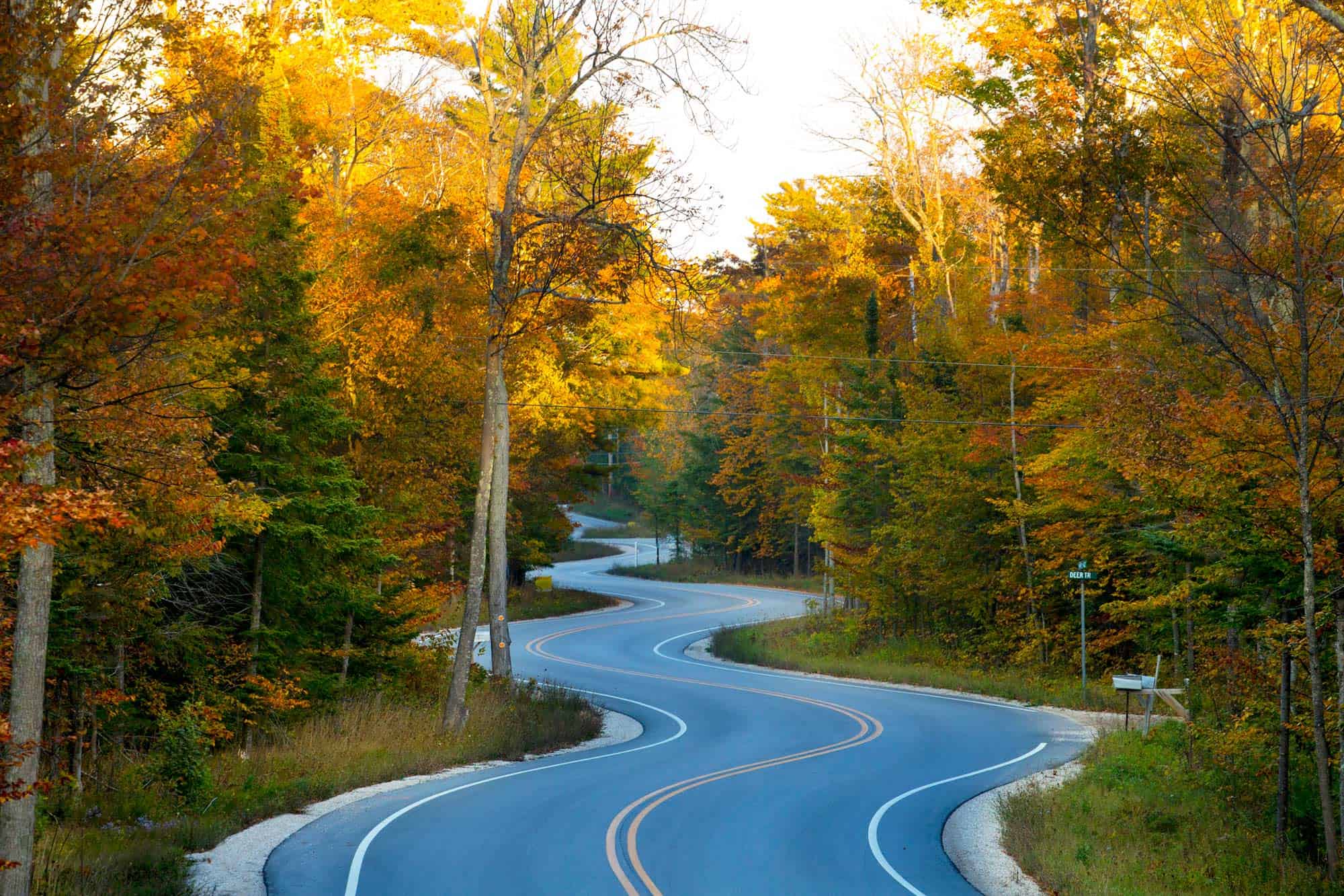 You are currently viewing 7 things to do in Door County in fall