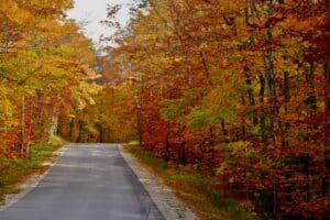 Read more about the article Things to do in Door County in October: 4 reasons fall is our favorite season